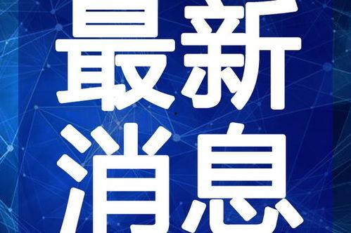 最新爆料娱乐小灶视频在线观看,独家视频在线观看，揭秘娱乐圈幕后故事