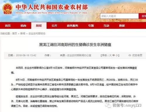 八村最新爆料新闻事件是什么,揭秘事件背后惊人真相！”