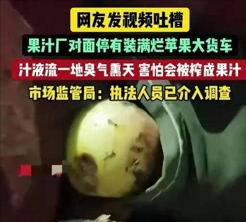 香港大瓜爆料视频在线观看,独家揭秘幕后真相