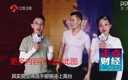江苏卫视回看在线观看,重温精彩瞬间，在线观看无限可能