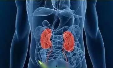 娱乐吃瓜酱胰腺癌,胰腺癌的成因与预防